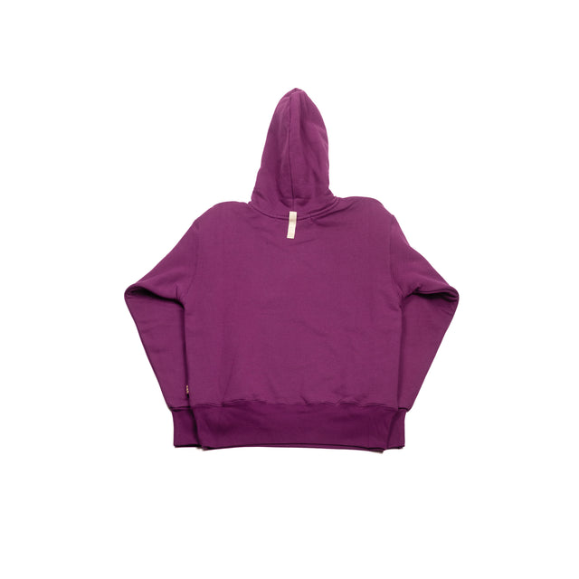 Dbl Weight Pullover Hoodie